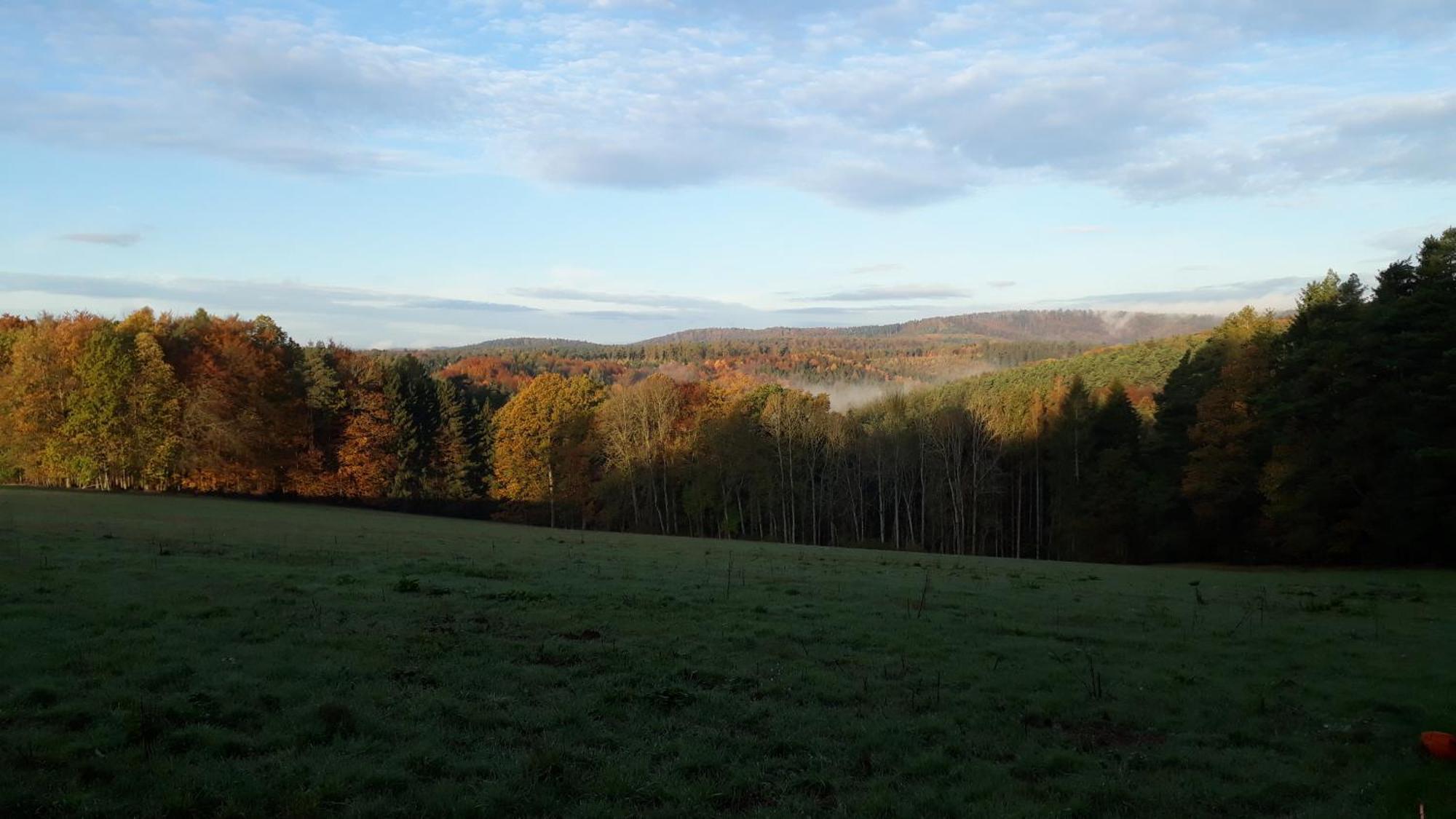 Ellernhof Im Spessart Villa Stadtprozelten Buitenkant foto