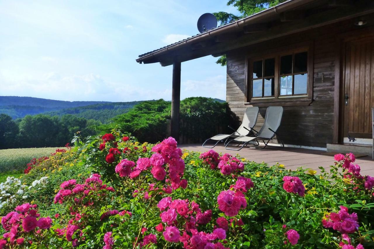 Ellernhof Im Spessart Villa Stadtprozelten Buitenkant foto